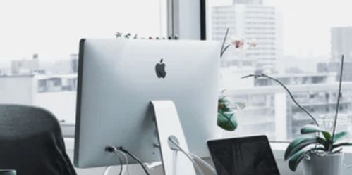 敢于做企業登頂路上的 陪跑者