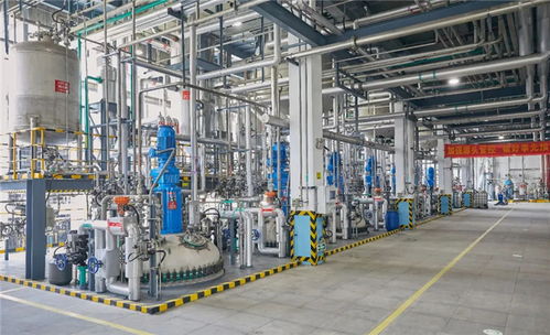 心安是家 新時代和諧勞動關(guān)系的 傳化樣本